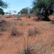 51 Acres Land for Sale in Makindu - 1