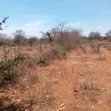 51 Acres Land for Sale in Makindu - 2