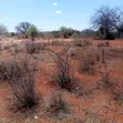 51 Acres Land for Sale in Makindu - 3
