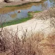 51 Acres Land for Sale in Makindu - 4