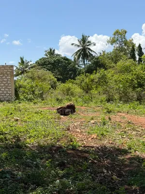 Sehemu ya 1/4 Eka ya Ardhi ya Makazi inauzwa Diani