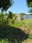 Sehemu ya 1/4 Eka ya Ardhi ya Makazi inauzwa Diani - 3