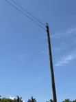 Sehemu ya 1/4 Eka ya Ardhi ya Makazi inauzwa Diani - 4