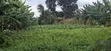 50x100 Residential Plot for Sale - Kabete Cuba, Kiambu County - 5