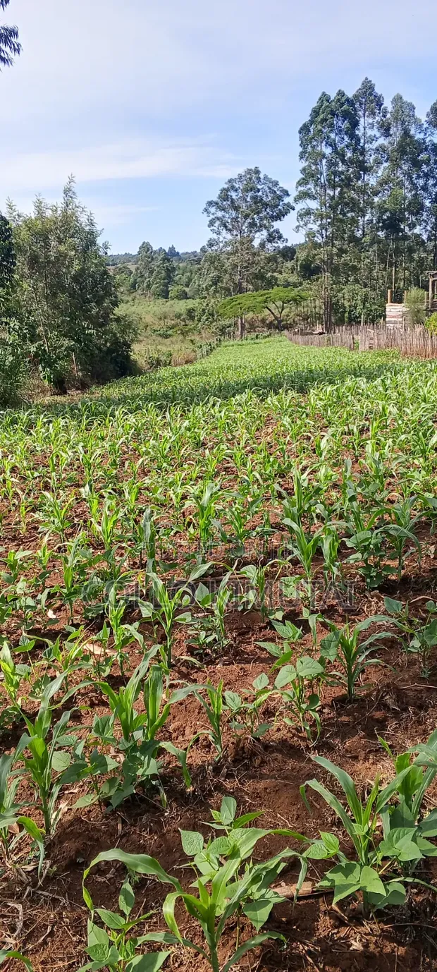 6 Plots Block for Sale - Simat Lemoook, Eldoret Southern Bypass - 1