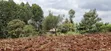 Kitalu cha Makazi cha 50x100 kwa Uuzaji - Kabete Gathiga, Kiambu - 5