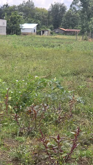 50x100 Plots for Sale in Mastoo, Mang'u, Nakuru