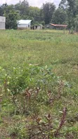 50x100 Plots for Sale in Mastoo, Mang'u, Nakuru - 1