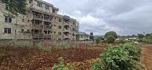 110x100 Plot for Sale - Kikuyu Gikambura