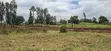 110x100 Plot for Sale - Kikuyu Gikambura - 5