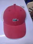 Kofia za Unisex Lacoste - Mpya Kabisa - 1