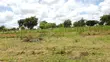 Kitalu Matuu/Kivandini 50x100 chenye Hati Tayari - 1