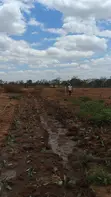 Kitalu Matuu/Kivandini 50x100 chenye Hati Tayari - 2