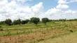 Kitalu Matuu/Kivandini 50x100 chenye Hati Tayari - 3