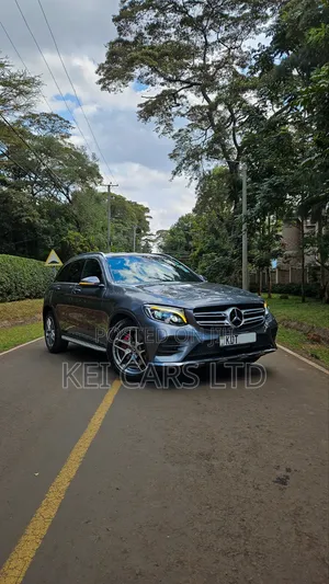 Mercedes-Benz GLC 220d 2019 AMG Line