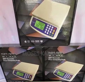 DT-580 30KG Electronic Weighing Scale