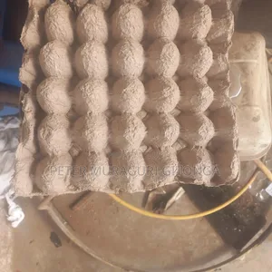Brand New Egg Carrier Trays