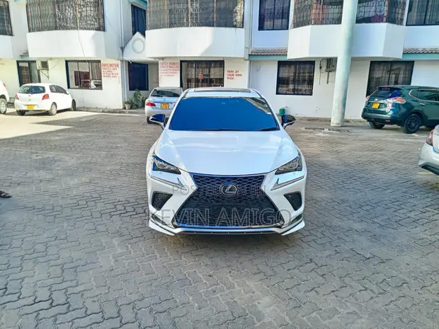 Lexus NX300 F-Sport 2019 - 1