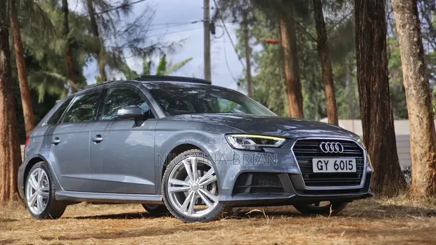 Audi A3 2.0T Titanium Premium FWD 2019 Gray - 1