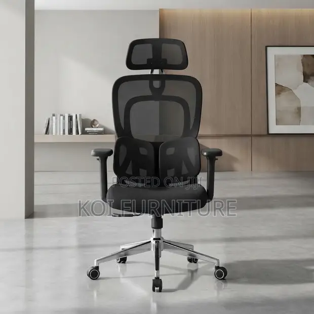 Orthopedic Executive Office Chair (Tri-Fold Lumbar Series) - 1