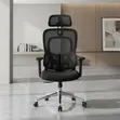 Orthopedic Executive Office Chair (Tri-Fold Lumbar Series) - 1