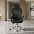 Orthopedic Executive Office Chair (Tri-Fold Lumbar Series) - 3
