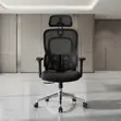 Orthopedic Executive Office Chair (Tri-Fold Lumbar Series) - 4