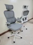 Boss Office Products Orthopedic Office Chair - 1