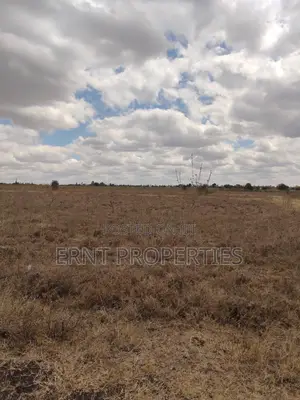 Kisaju Prime 10 Acres - Developer's Deal