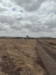Kisaju Prime 10 Acres - Developer's Deal - 2