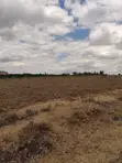Kisaju Prime 10 Acres - Developer's Deal - 3