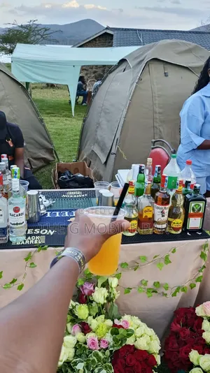 Mobile Mixologist & Bartending Services