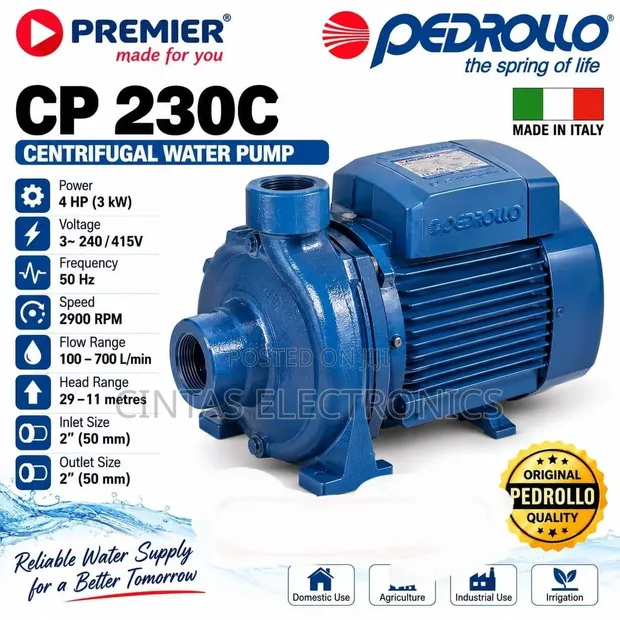 Pedrollo CP 230c Water Pump 4HP - 1