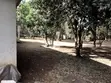 5-Bedroom Bungalow on 1.22 Acres in Kilimani - 4