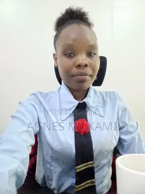 Debt Collector CV - Agnes Mungathia