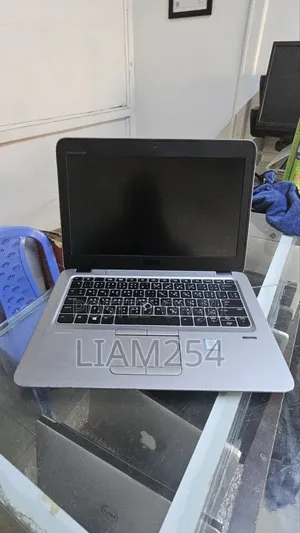 HP EliteBook 820 G4 Laptop - 8GB RAM, 500GB HDD