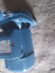 Pedrollo 1 HP Water Pump Mpya Kabisa - 2