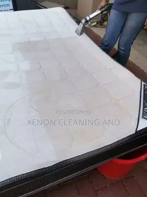 Huduma za Kusafisha na Kunyunyizia Dawa za Xenon