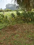 50x100 Plot for Sale in Njoro Town - 2
