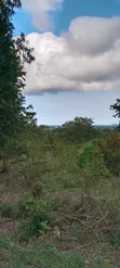 Ardhi ya Kuvutia Kwale Matuga - 2