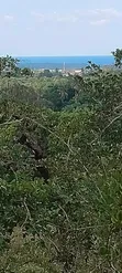 Ardhi ya Kuvutia Kwale Matuga - 3