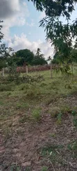 Ardhi ya Kuvutia Kwale Matuga - 4