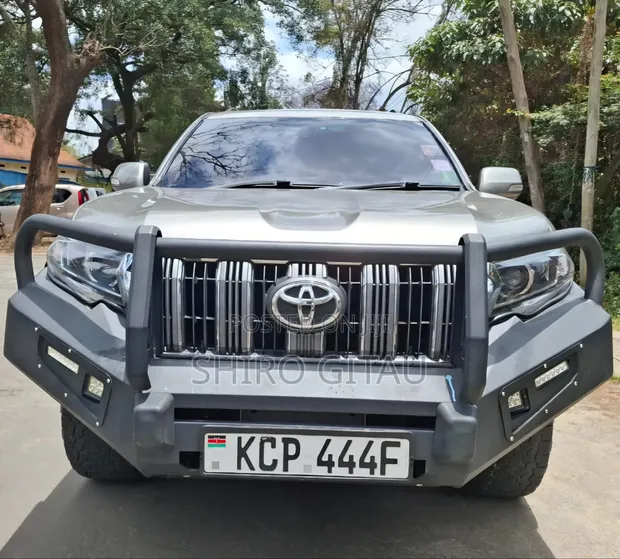 Toyota Land Cruiser Prado Kakadu 2011 Gray - 1