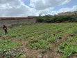 Kiwanja cha 50x100 Mlolongo Kinauzwa - 1
