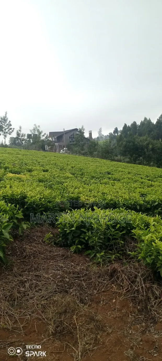 10 Acres Land for Sale in Limuru - 1