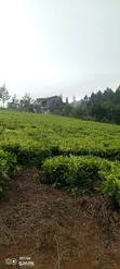 10 Acres Land for Sale in Limuru - 1