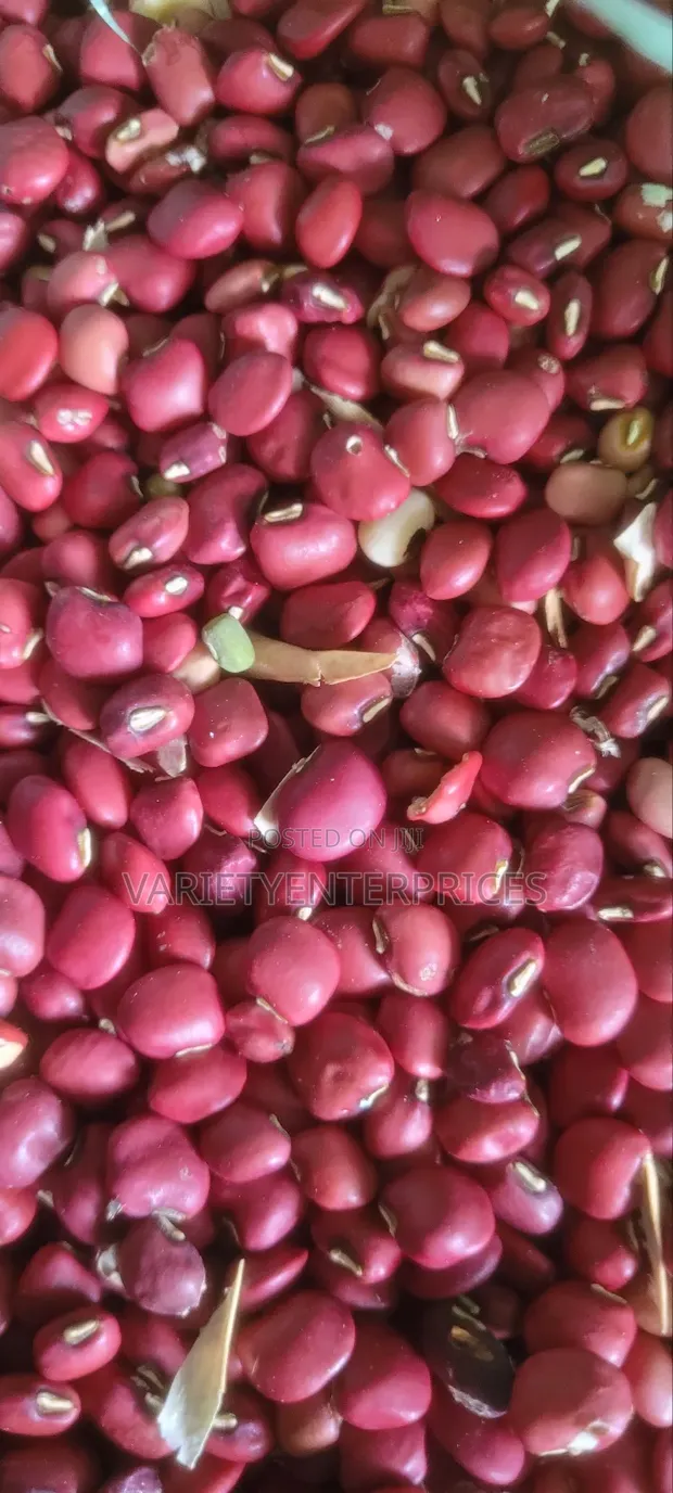 Red Cow Peas / Kunde - 1