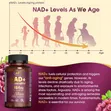 NAD+ Liposomal with Resveratrol - Energy, Focus, Healthy Aging - 2
