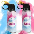 Gender Reveal Powder Spray - 1