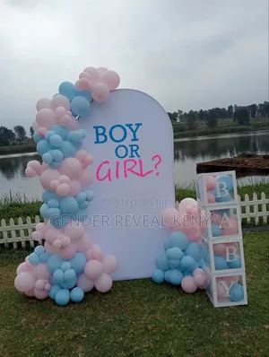 Gender Reveal Backdrop Decor Stand